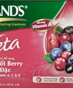 Nước Cốt Berry Cô Đặc BRAND'S Veta